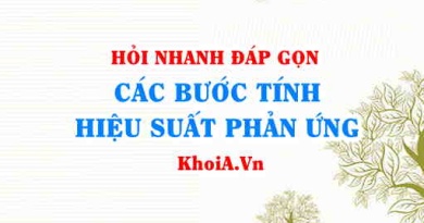 Các bước tính hiệu suất phản ứng, công thức tính hiệu suất phản ứng? KHTN 8
